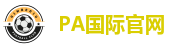 PA国际 (电子)集团官网